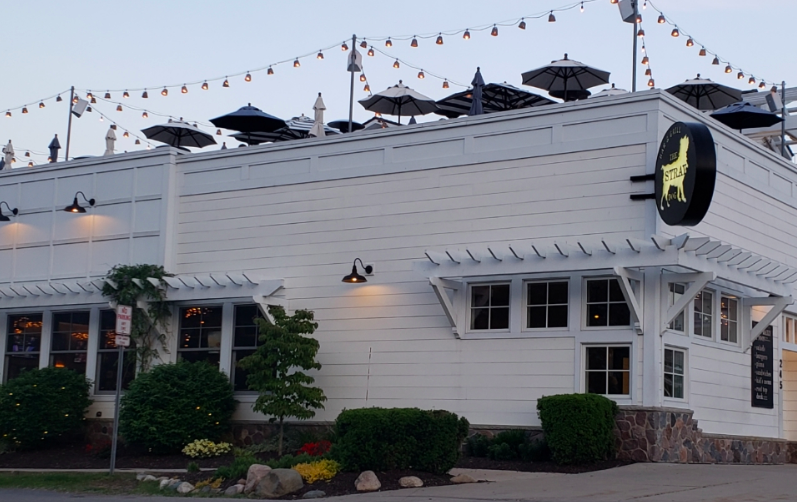 Things To Do The Stray Dog